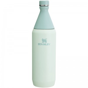 Stanley All Day Slim 34 OZ Blanche | 5019-ZCJAN