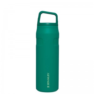 Stanley IceFlow™ Bottle with Cap and Carry+ Lid 24 OZ Vert | 5649-QGXIR