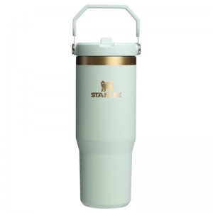 Stanley The Holiday IceFlow™ Flip Straw Tumbler 30 OZ Vert | 0567-TKGOX