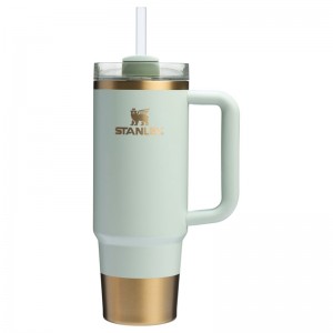 Stanley The Holiday Quencher H2.O FlowState™ Tumbler 30 OZ Vert | 9831-XZDNK
