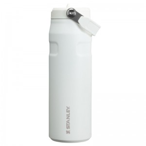 Stanley The IceFlow™ Bottle with Flip Straw Lid 24 OZ Blanche | 2147-VKCZJ