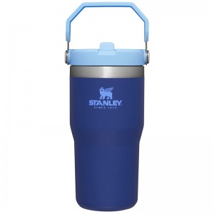 Stanley The IceFlow™ Flip Straw Tumbler 20 OZ Bleu Marine | 0957-CPSYT