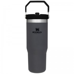 Stanley The IceFlow™ Flip Straw Tumbler 30 OZ Grise | 3625-ZNEHI