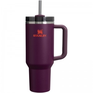 Stanley The Quencher H2.0 FlowState™ Tumbler 40 OZ Violette | 9738-VWIKJ