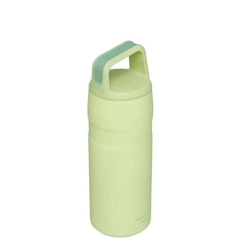 Stanley IceFlow™ Bottle with Cap and Carry+ Lid 16 OZ Vert | 0924-UFJRZ