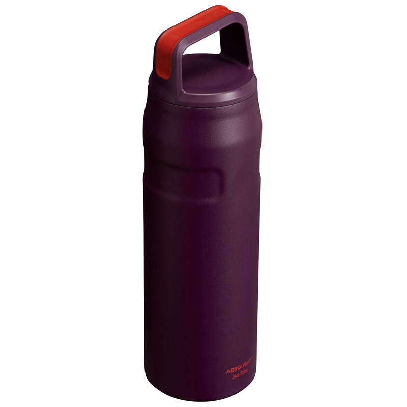 Stanley IceFlow™ Bottle with Cap and Carry+ Lid 24 OZ Violette | 1582-YASVF