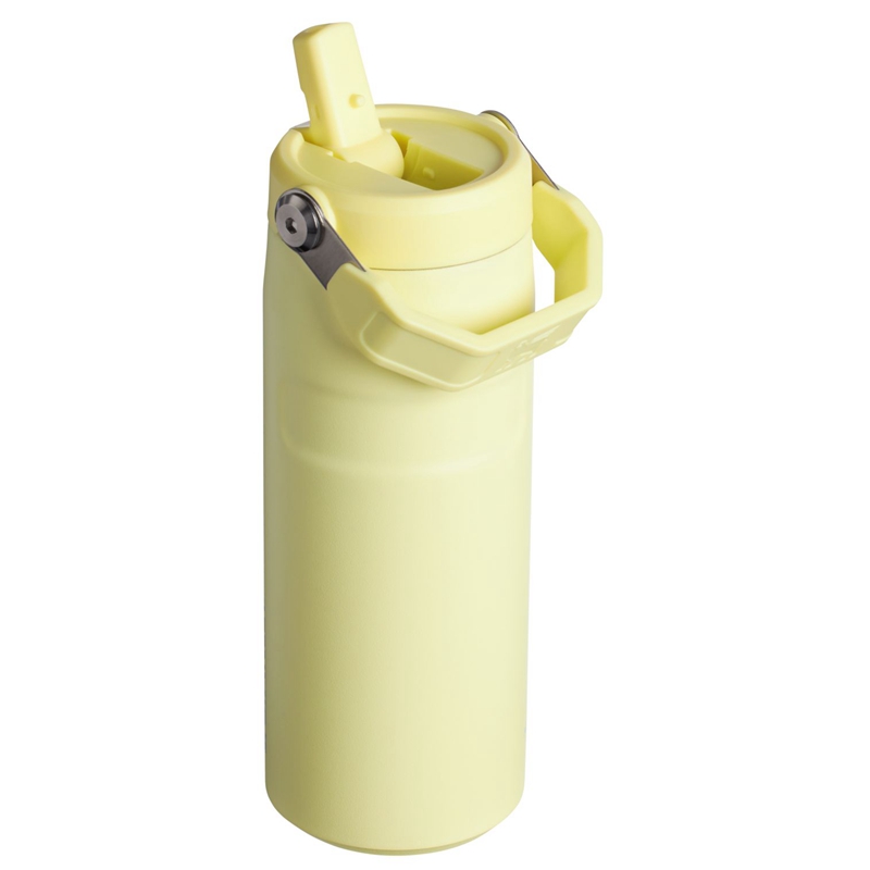 Stanley The IceFlow™ Bottle with Flip Straw Lid 16 oz Jaune | 2084-DWIGE