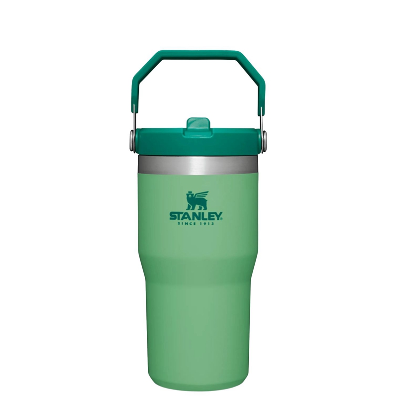 Stanley The IceFlow™ Flip Straw Tumbler 20 OZ Vert | 1389-LMEDN